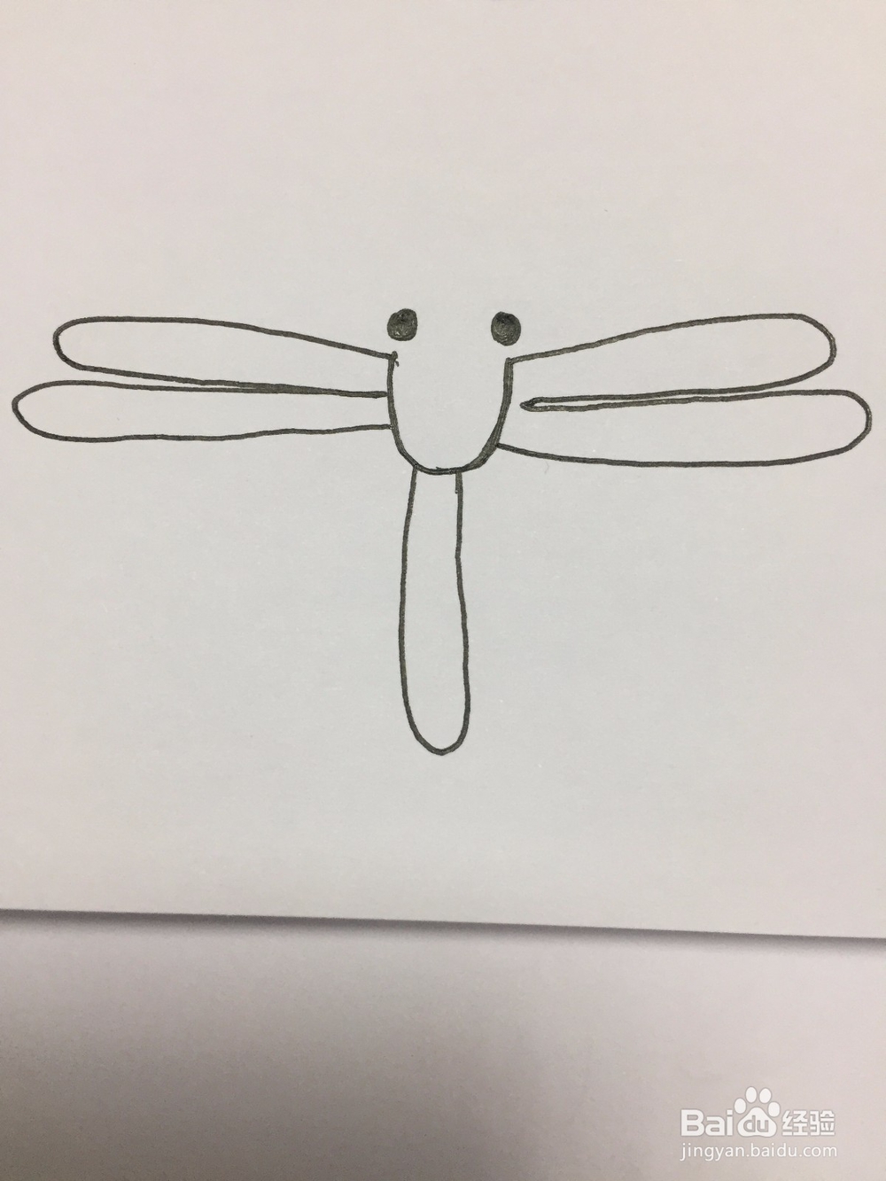 蜻蜓的简笔画画法