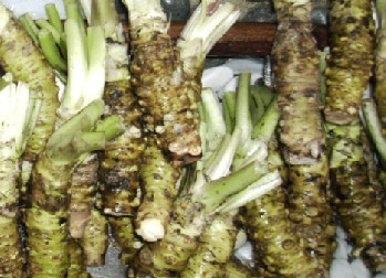 美白牙齿10种食物