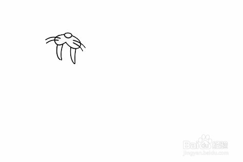 海豹的简笔画