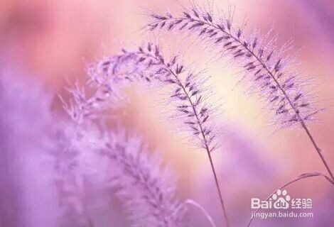 怎样才能不会晕车 晕车能治好吗