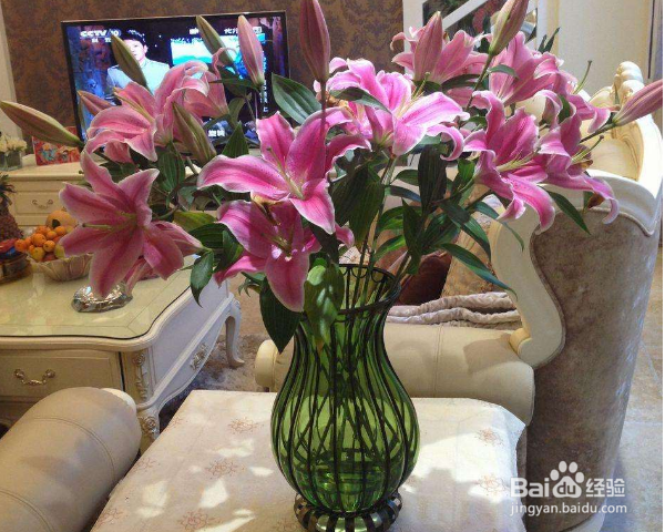 百合花怎么养水里