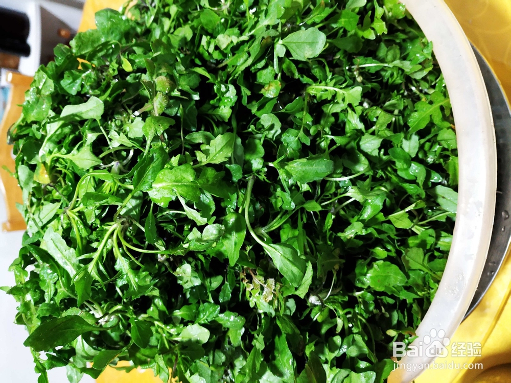 怎样做荠菜饺子