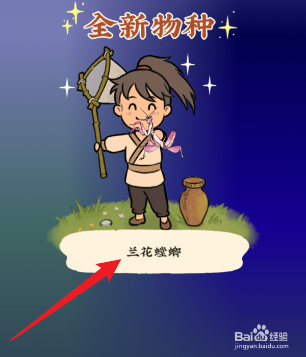仙山小农怎么捕捉兰花螳螂