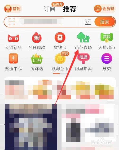芭芭农场百科问答题目如何分辨辣椒种子的新旧