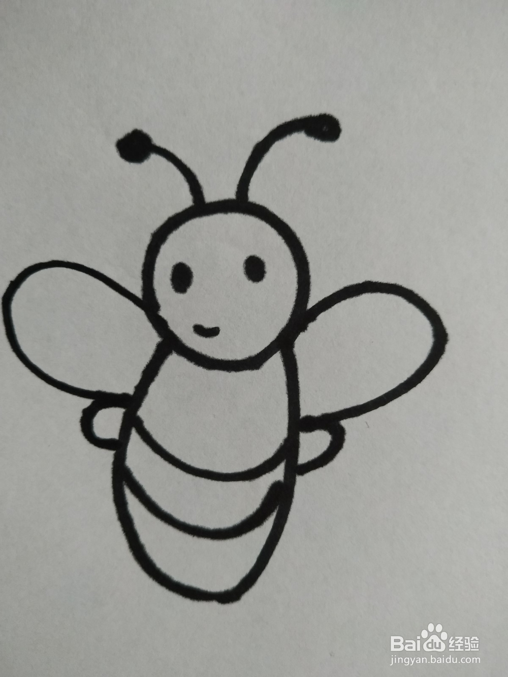 蜜蜂的简笔画技法7