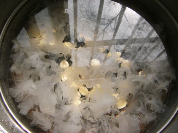 银耳莲子百合粥