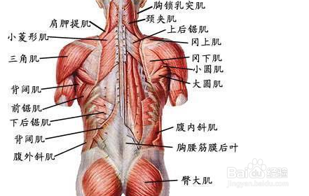 运动减肥经验教训