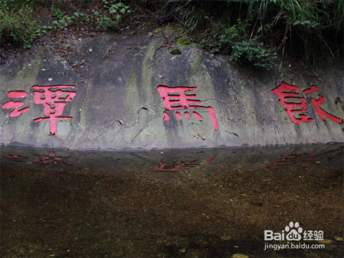 春节最佳旅游地