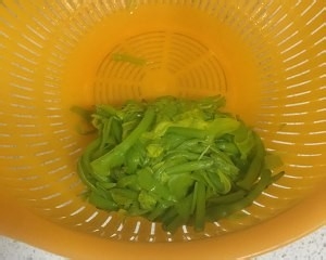 教你怎么做新鲜黄花菜炒鸡蛋