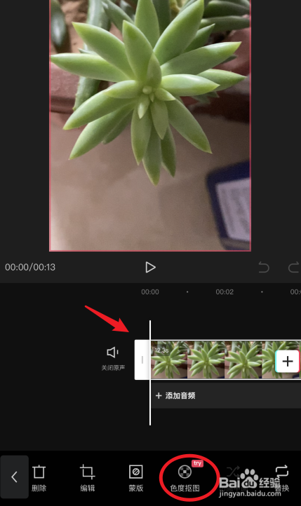 剪映怎么色度抠图