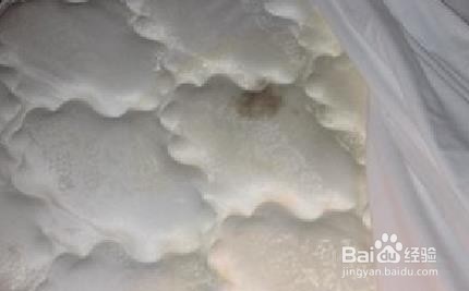 如何清洗乳胶床垫的尿渍