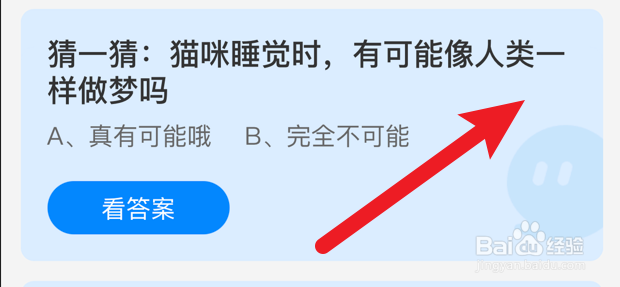 猫咪睡觉时有可能像人类一样做梦吗蚂蚁庄园