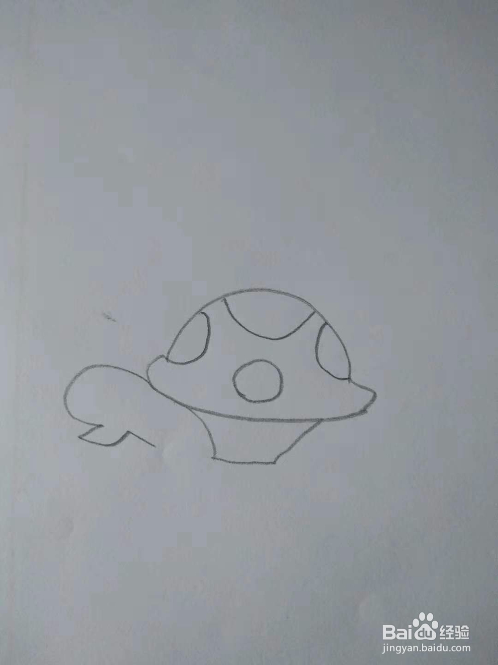 小乌龟简笔画画法