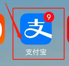 养老查询个人账户查询