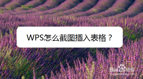 WPS怎么截图插入表格?