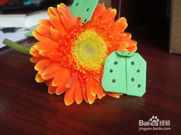 儿童折纸--七星瓢虫!