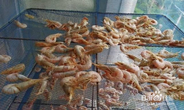 买回来的虾暂时不吃如何保存
