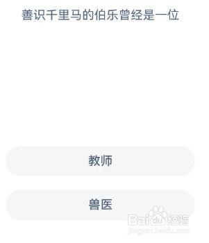 蚂蚁新村善识千里马的伯乐曾经是一位？
