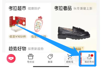 如何在考拉海购中开通考拉黑卡