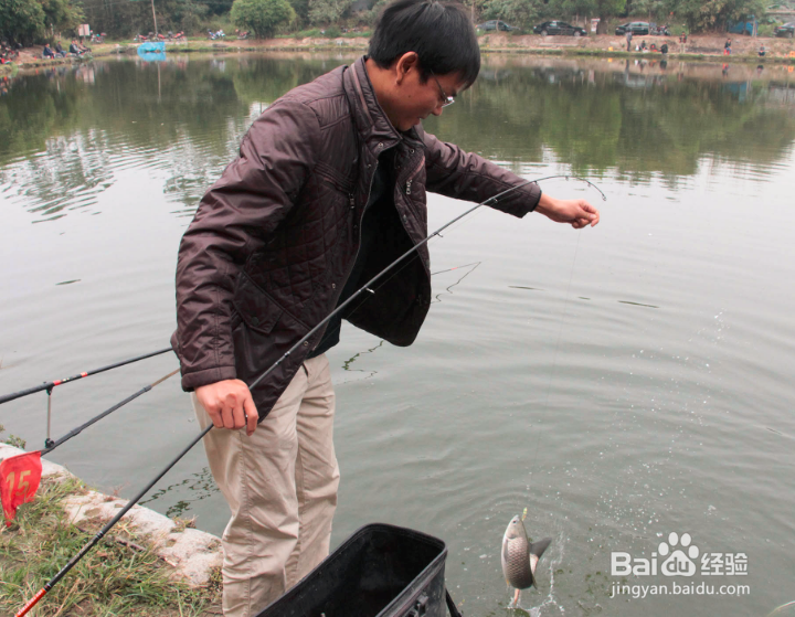 春天如何钓鲫鱼