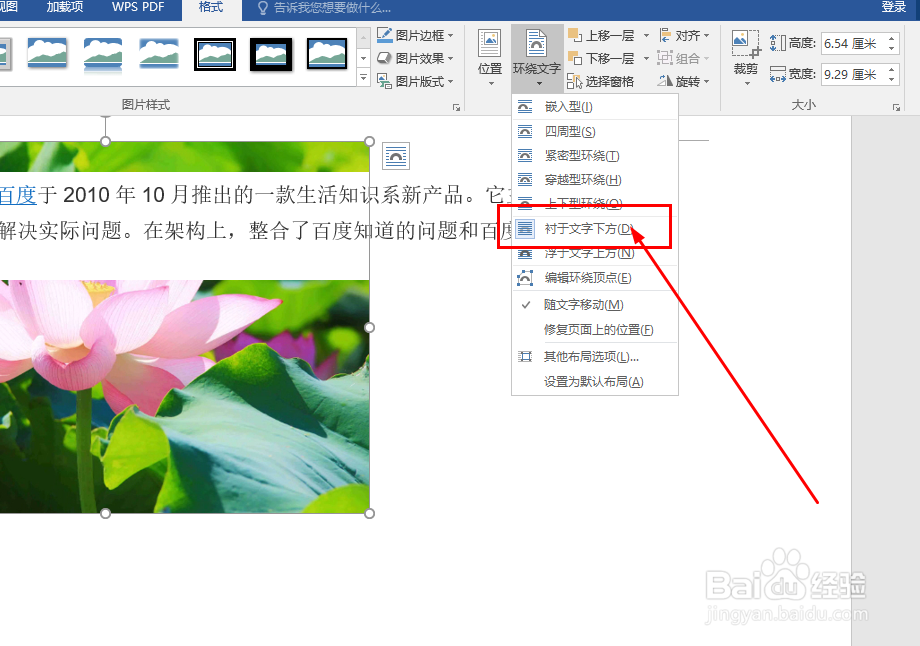 Word中如何设置图片排版样式
