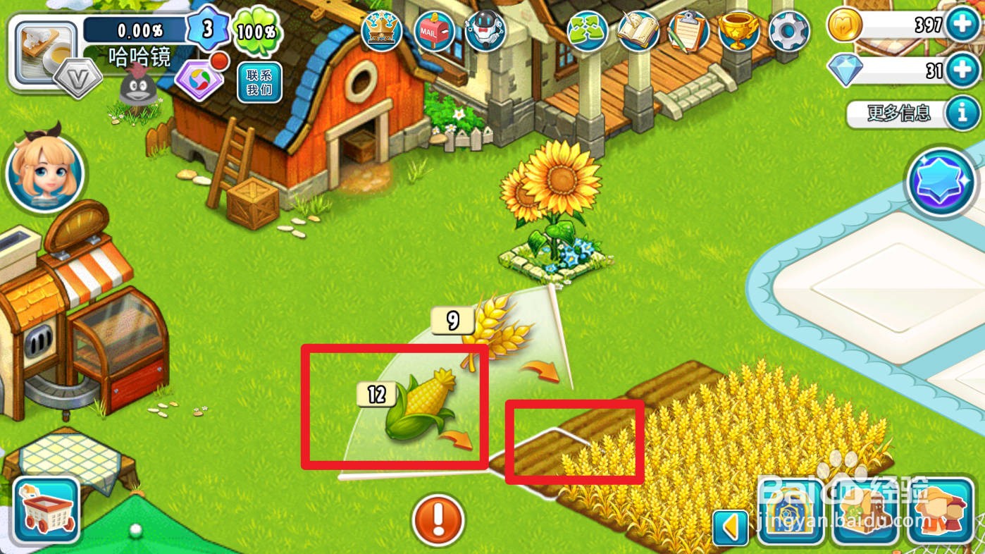 全面农场如何种植玉米