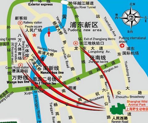 怎么去上海野生动物园