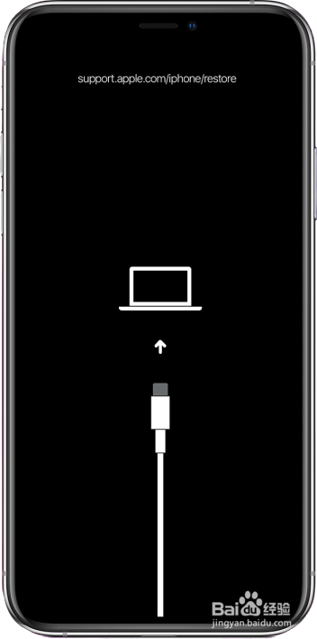 使用 iTunes 将iPhone 从iOS14 降级到iOS13