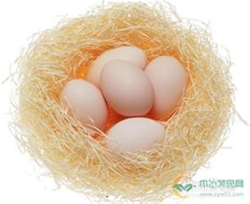 如何挑选新鲜鸡蛋?