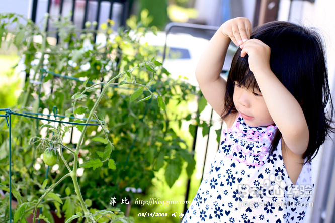 温哥华鹿湖Deer Lake 黄昏漫步(组图)