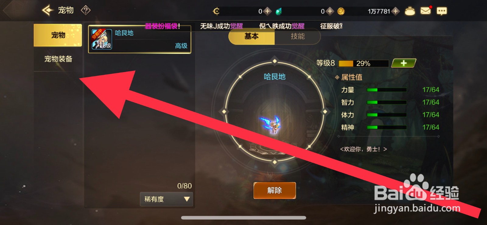 DNF手游怎么佩戴宠物装备