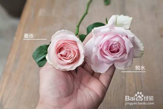 如何挑选玫瑰花？