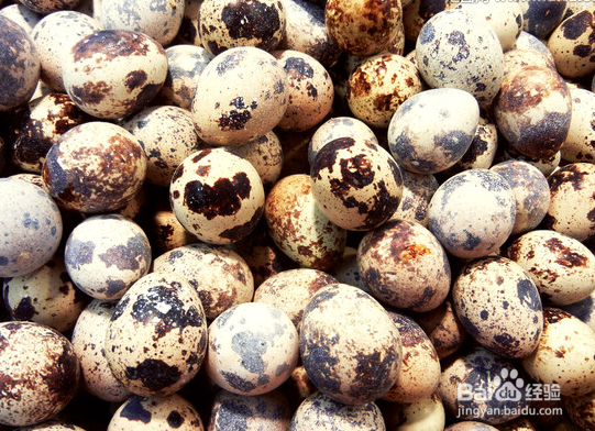 早餐怎么吃有助孩子长高？