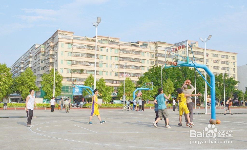 学生在校园适宜进行哪些适当的运动