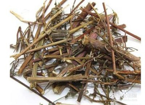 豨莶草的功效与作用