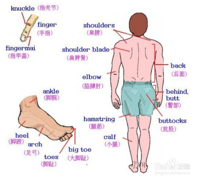 快速记忆英语单词小妙招
