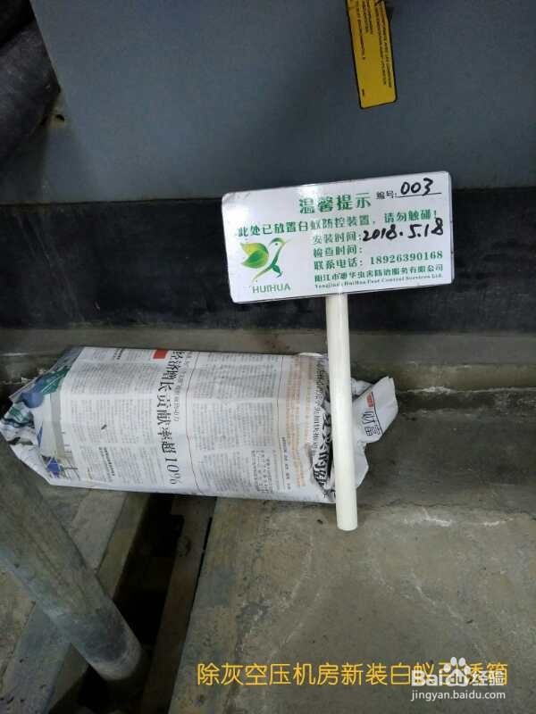 家里发现白蚁怎么办?灭白蚁最有效的方法!