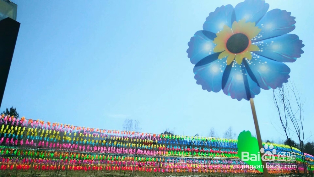 风车节成功举办的经验心得