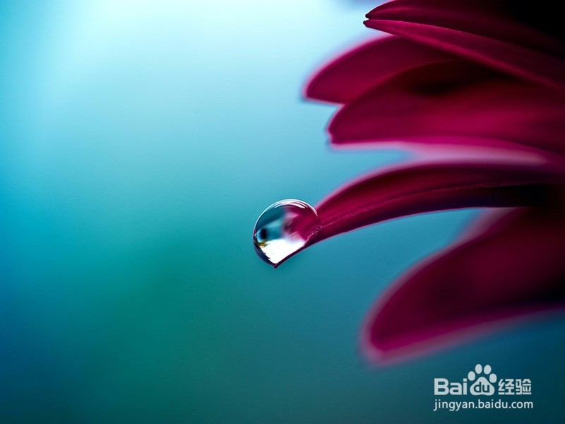 如何预防H5N6禽流感？【重要】