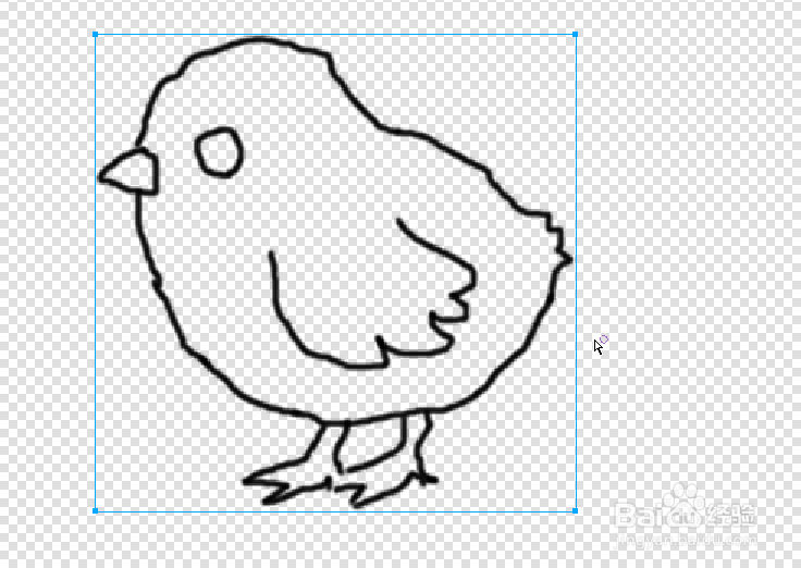 firework 五步画小鸡