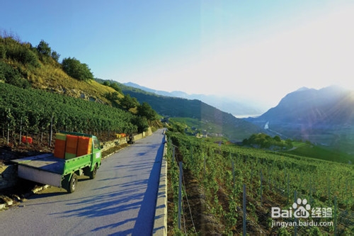 瑞士瓦莱州葡萄酒乡之旅行