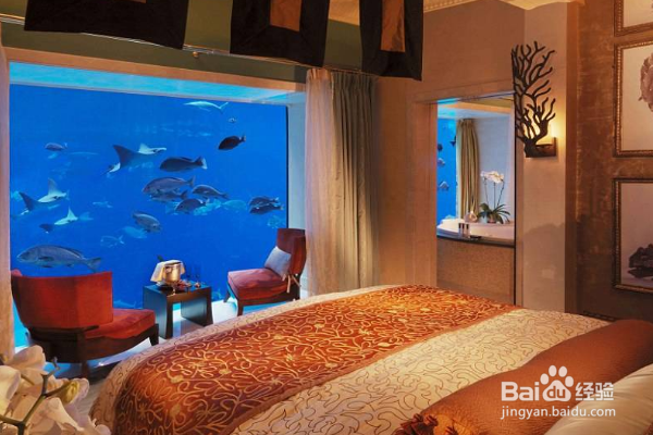 春节出去旅游，要避免哪些问题才能更安全呢？