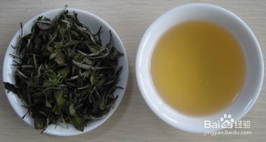 白领如何选择适合的茶