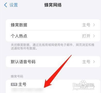 苹果12主号漫游数据在哪里关闭呢