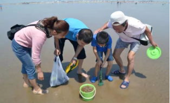 海边沙蟹怎么捉