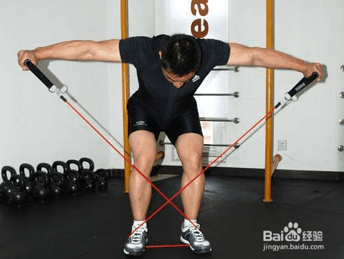 练三角肌后束方法步骤