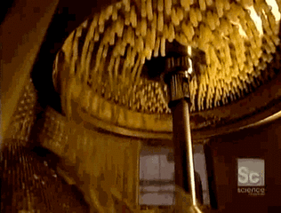 怎么去黑头？我有办法！！