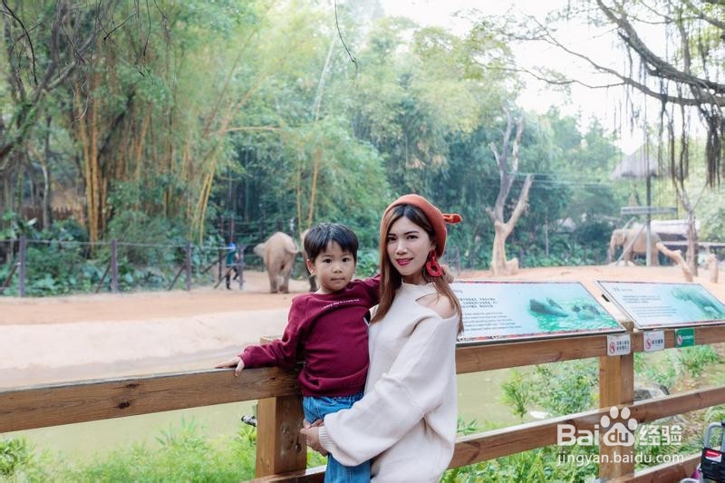 广州长隆野生动物世界攻略6