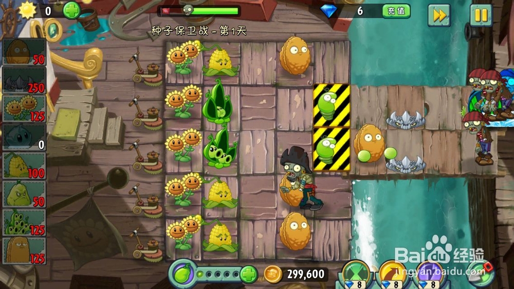 植物大战僵尸2海盗港湾种子保卫战第一天 攻略