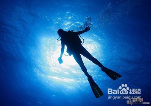 三亚潜水分类